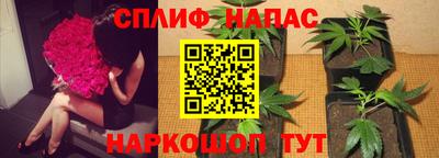 бошки Кинель