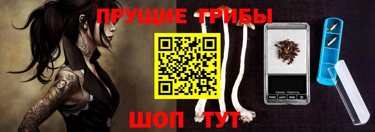 Фролово  Псилоцибиновые грибы MAGIC MUSHROOMS  Вход с VPN 