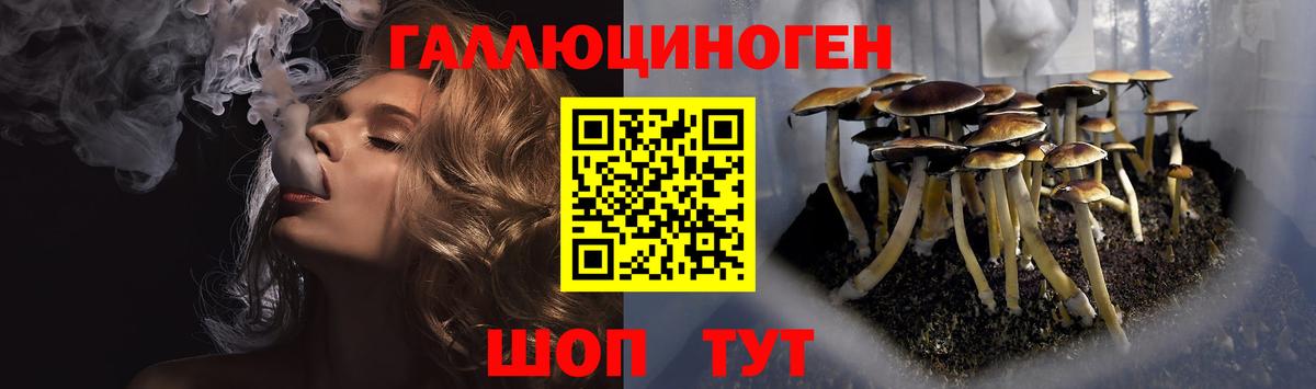 Галлюциногенные грибы Psilocybe Фролово